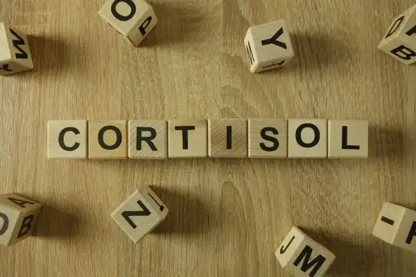 The Hidden Connection: How Stress Shapes Your Fitness and Body Composition 2 Image saying "Cortisol" and how stress Salisbury impacts your wellbeing and bodies shape